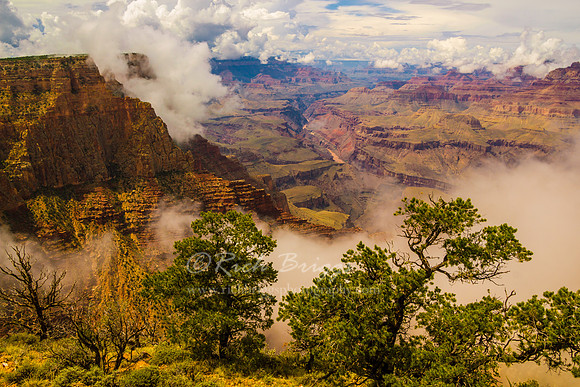 The Grand Canyon