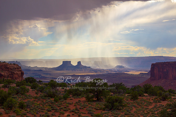 Rain in the Desert
