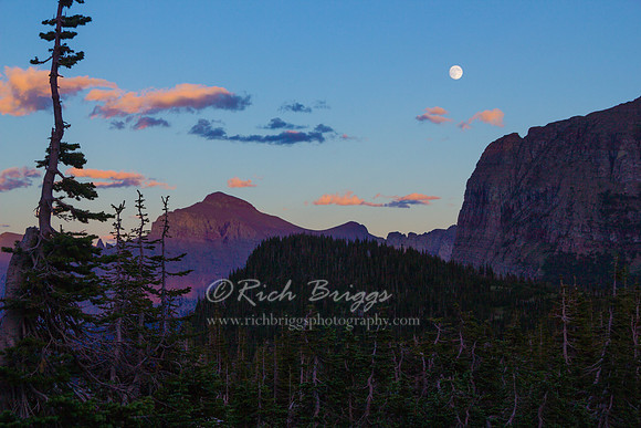 Purple Mountain Majesty