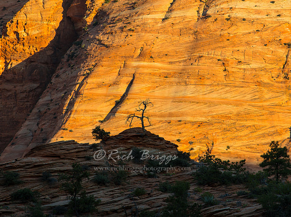 On the Zion Mount Carmel Highway After Sunrise