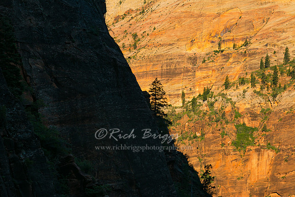 Image Captured from the Switchbacks on the Observation Point Trail