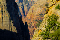 Fantastic View of the Canyon Walls
