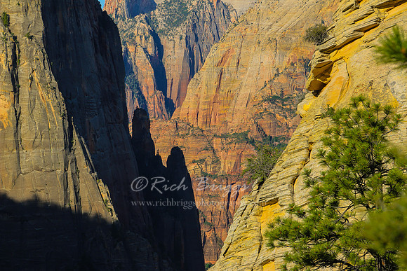 Fantastic View of the Canyon Walls