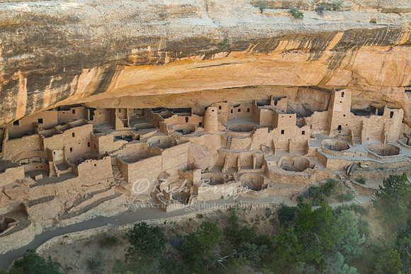 Cliff Palace Ruin