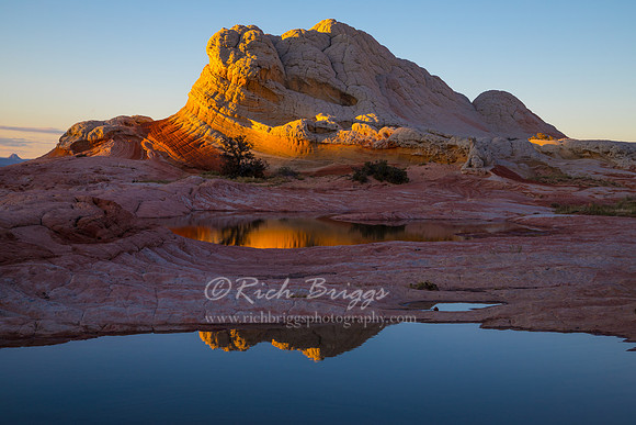 White Pocket Reflection
