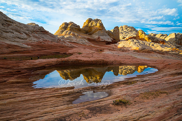 Desert Reflection at Vermilion Cliffs National Monument