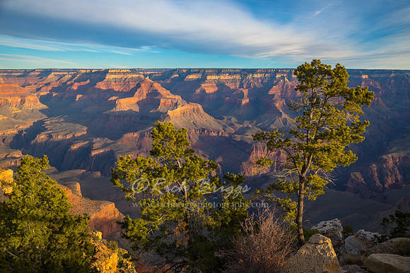 The Grand Canyon