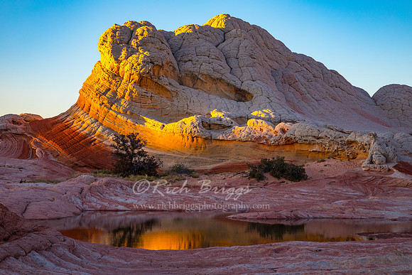 White Pocket Reflection