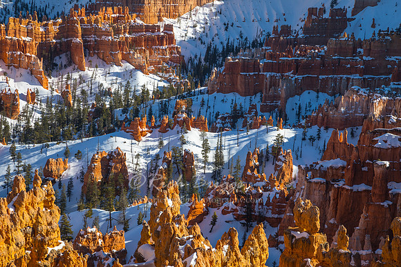 Evening Magic at Bryce Canyon