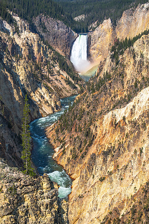 Lower Yellowstone Falls and the Grand Canyon of the Yellowstone