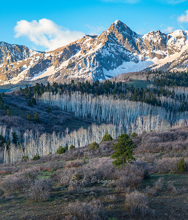 Image Captured at Dallas Divide