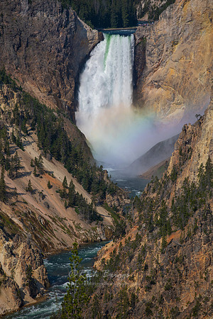 The Lower Yellowstone Falls Rainbow